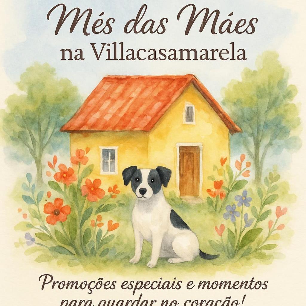 Villacasamarela Mini Casinhas De Hospedes Rio Vermelho Флорианополис Экстерьер фото
